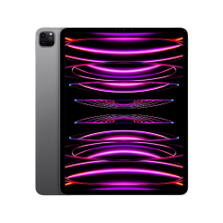 APPLE 12.9-INCH IPAD PRO